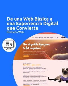 paginas-web-puerto-montt